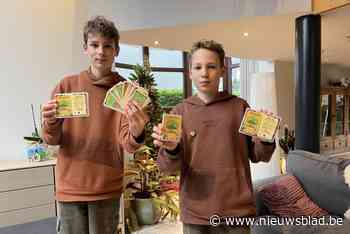 Broers Korneel (13) en Nand (12) ontwerpen kaartspel voor De Warmste Week: “Woudrijk staat in het teken van bloemen en dieren”