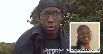 Elianne Andam 'begged attacker to stop as he stabbed her in the neck'