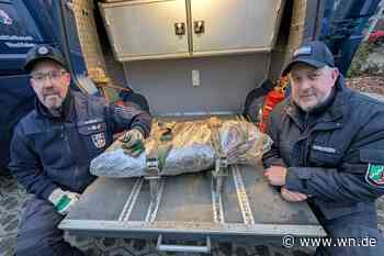 Entschärfung erfolgreich: Sperrungen werden abgebaut