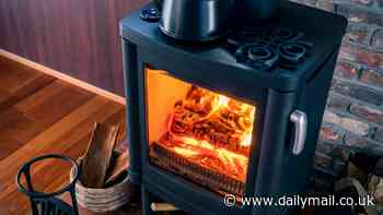 Urgent warning over trendy wood burning stoves - as research reveals they produce more pollution than road traffic