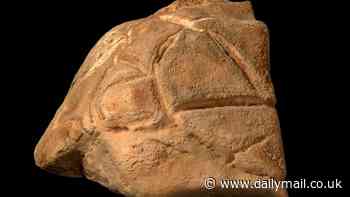 Mysterious turtle sculpture is discovered in Holy Land cave after 35,000 years - and archaeologists believe people may have WORSHIPPED it