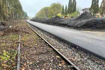 Omgeving van Kolenspoor in Genk wordt landschapspark: “Bruisende plek waar je veel kan beleven”
