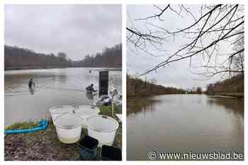 Visclub bezorgd over toekomst aan Zoete Waters: “Ze gaan hier massa’s vissen laten creperen”