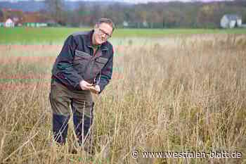 Warum ein Landwirt sein Korn nicht erntet, um einen Vogel zu schützen