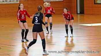 Faustball-Bundesliga: Beim TSV Calw sprudeln die Punkte