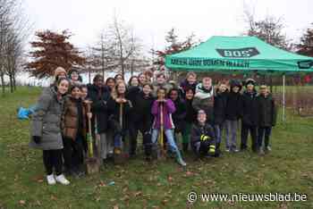 Leerlingen en buurt planten nieuw wonderwoud: “Dit is een plaats voor ontmoeting en rust in bebouwd gebied”