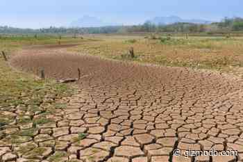 AI Model Indicates Global Temperatures Will Rise Faster Than Expected