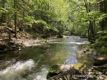 Land in Chelsea bought to protect endangered frog