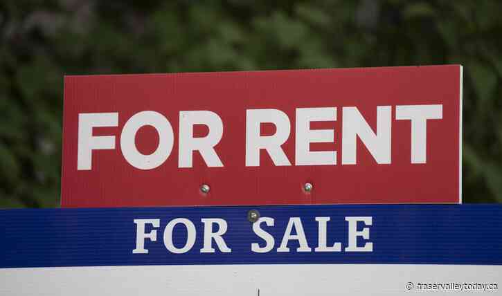 National rent prices decline year-over-year to 15-month low: report