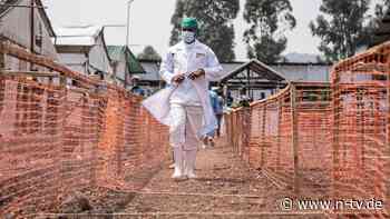 Nach mehr als 30 Todesfällen: Rätsel um "Krankheit X" im Kongo scheint gelöst