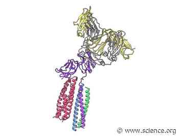 Architecture of the high-affinity immunoglobulin E receptor | Science Signaling