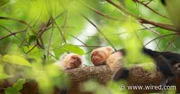 The 33 Best Shows on Apple TV+ Right Now (December 2024)