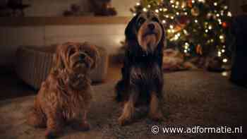 Van Intratuin tot Staatsloterij: dit zijn álle Nederlandse kerstcommercials