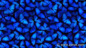 Bluesky is teeming with researchers - here's why