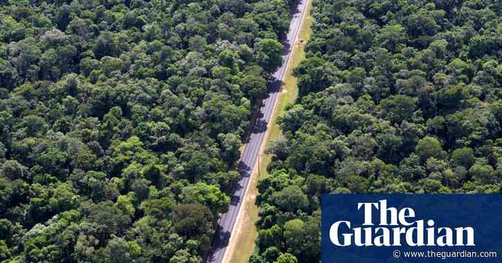 Endless work, little money, occasional UFOs: my father’s five decades driving Brazil’s roads | Long read