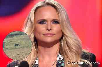 Miranda Lambert Is Dealing With ‘Rotten’ Behavior at Her Farm [Watch]