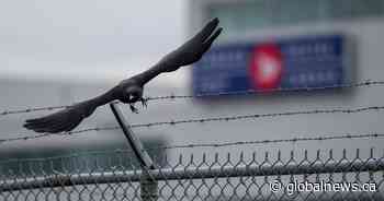 Postal strike delaying delivery of medicine, necessities to remote areas: AFN chief