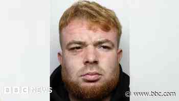 Wanted man jailed after crashing into shop