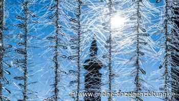 Debatte in der Evangelischen Kirche: Sollten Pfarrer künftig noch verbeamtet werden?