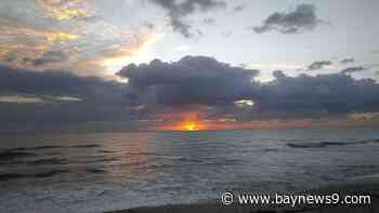 Visit Florida president, CEO Dana Young announces retirement