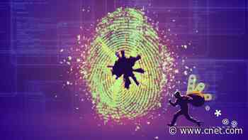 66% of Shoppers Worry About Falling Victim to a Holiday Scam This Season, CNET Study Finds