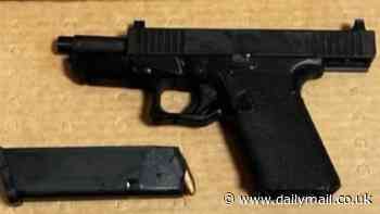 Firearms expert reveals dark secrets about Luigi Mangione's 3D-printed 'ghost gun'