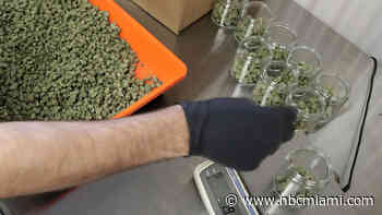 Florida gives first green light to 22 new medical marijuana treatment centers