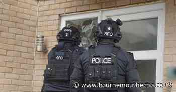 £200k of 'weed' and £15k of 'cocaine' found during raids