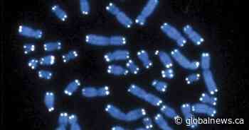 Manitoba professor makes ‘amazing’ cancer research breakthrough