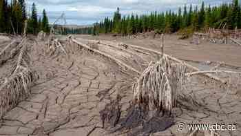 Mining company charged 10 years after spilling toxic waste into B.C. waters