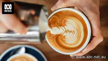 Coffee drinkers to feel the pinch as prices hit record high