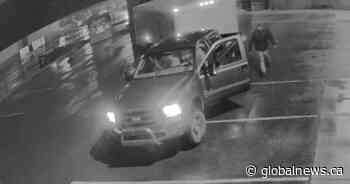 B.C. charity ‘hurting’ after thieves make off with critical trailer