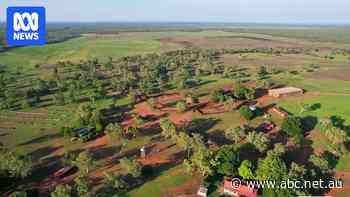 One of NT's smallest cattle stations sells for $12.8m
