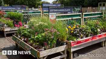 Warwickshire garden centre announces closing date