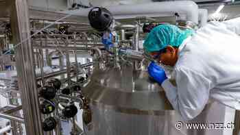 Asiatische Länder wollen unabhängig werden von Fleischimporten und investieren Millionen in Laborfleisch. Das könnte diesem zum Durchbruch verhelfen