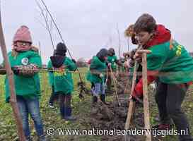 Leerlingen planten windhaag tijdens allereerste BoerenBoomfeestdag