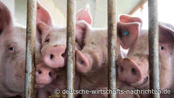 Fleisch-Logo für Restaurants?