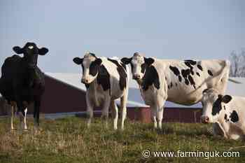 US government orders milk supply testing due to rising bird flu
