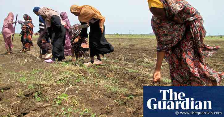 Global food production at increased risk from excess salt in soil, UN report warns