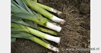 Biologische preiteler wil zijn bedrijf beter nalaten dan hoe hij het kreeg