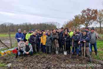 Natuurpunt De Torenvalk wil lokale werking opstarten in Pittem