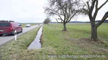Streuobstbäume am Luibach in Erpfting bleiben erhalten