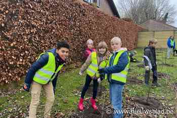 Leerlingen basisschool Heieinde planten tweehonderd nieuwe boompjes in Leliestraat