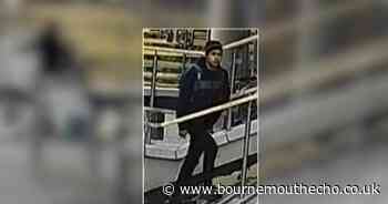 Murder accused watched horror movie in cinema before alleged stabbing