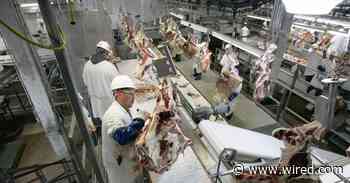 US Meat, Milk Prices Should Spike if Donald Trump Carries Out Mass Deportation Schemes