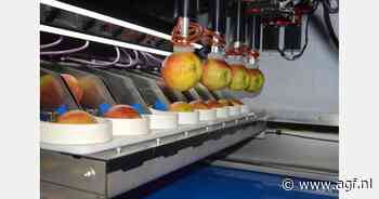 Fruitpakrobot bespaart handjes