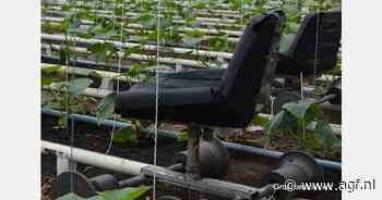 Registratie arbeidsmigranten aanjagen via werkgever of verhuurder