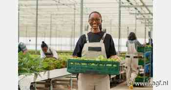 Grote groep Europese retailers gaat samenwerken met Alkmaarse ketenspecialist