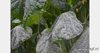 Wet die gewasbescherming beperkt teruggetrokken