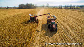 Amerikaans ministerie snijdt fors in maïsvoorraad